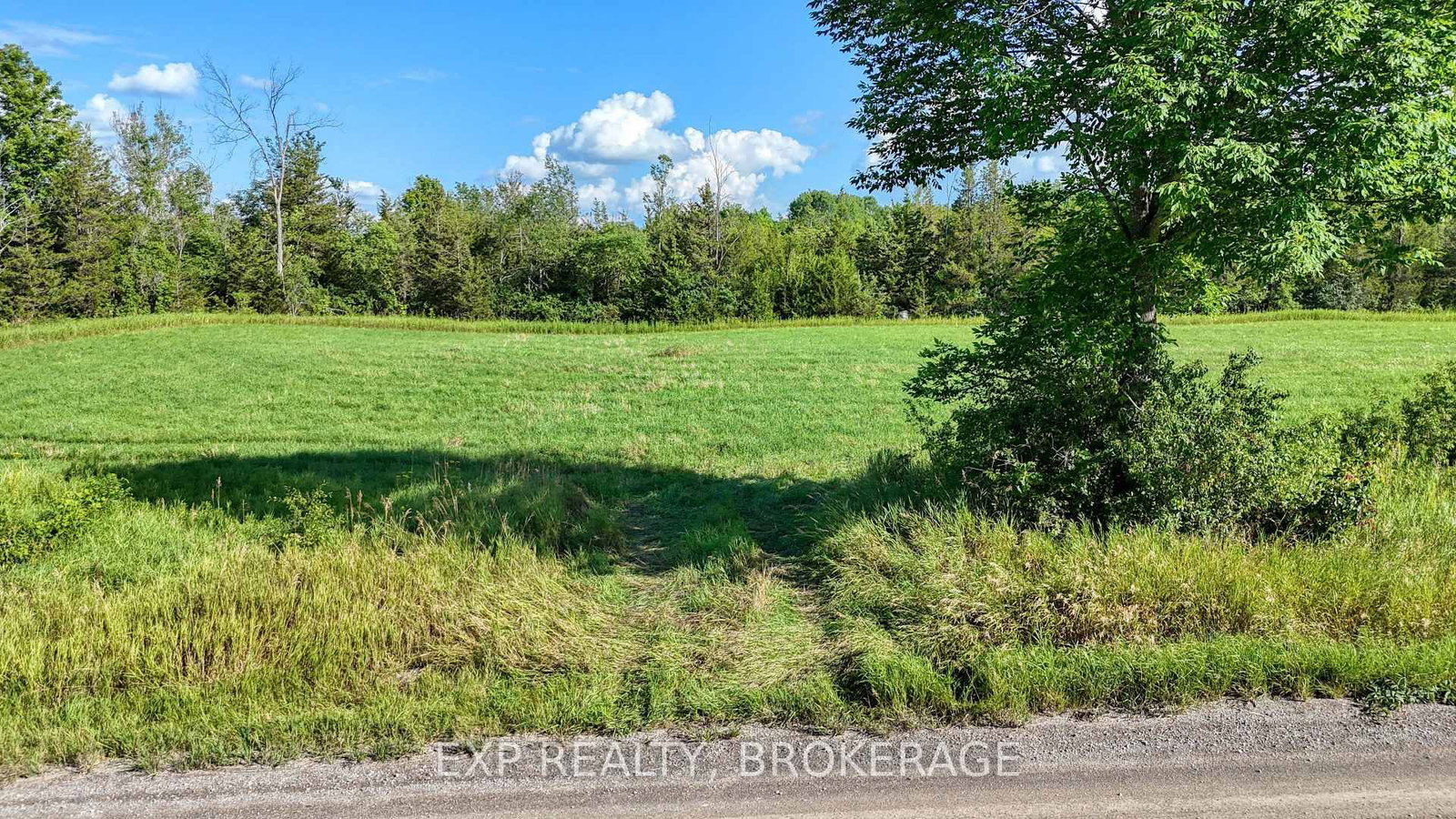 PT LT 3 CON 10 DAFOE Street • Greater Napanee, ON photo 14