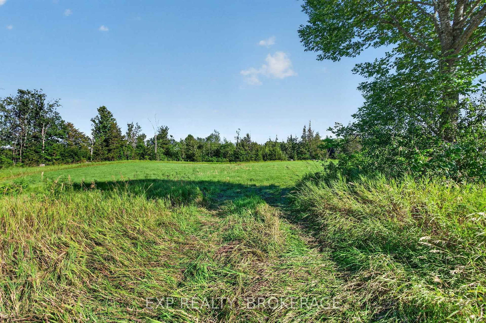 PT LT 3 CON 10 DAFOE Street • Greater Napanee, ON photo 16