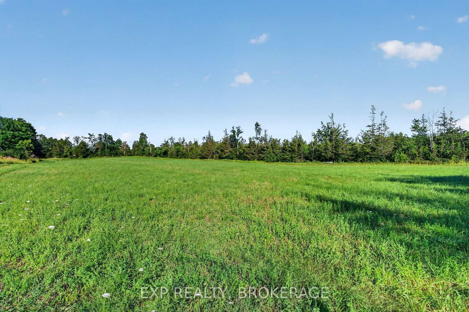PT LT 3 CON 10 DAFOE Street • Greater Napanee, ON photo 17