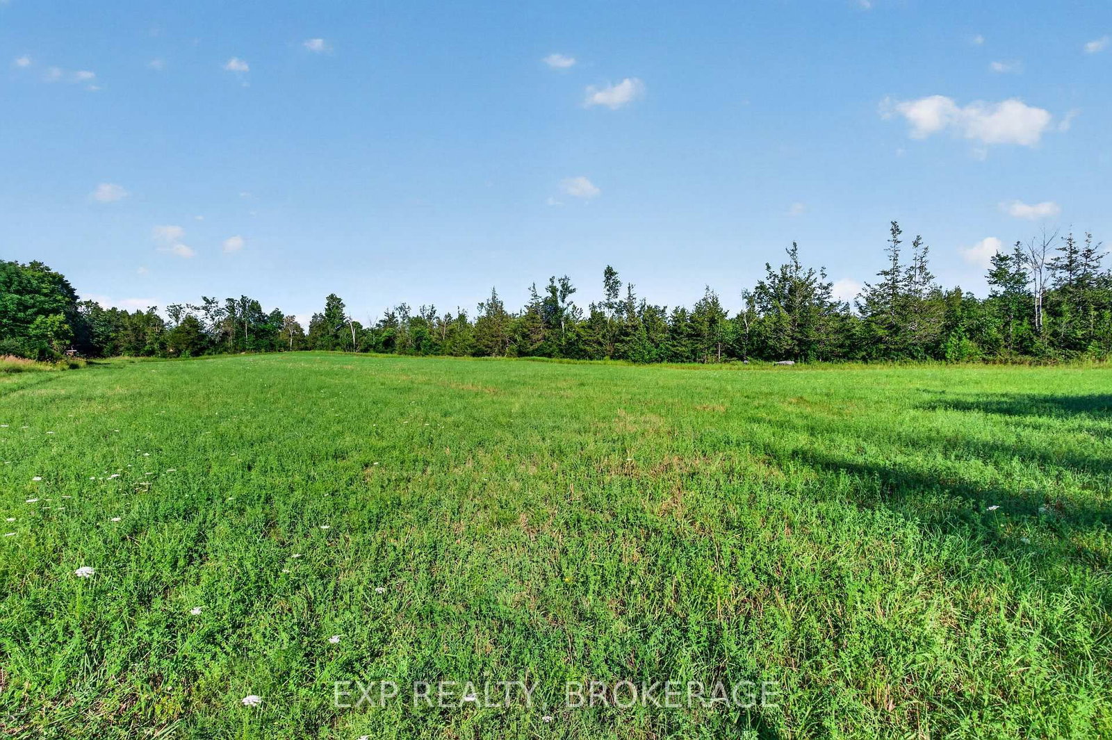 PT LT 3 CON 10 DAFOE Street • Greater Napanee, ON photo 18