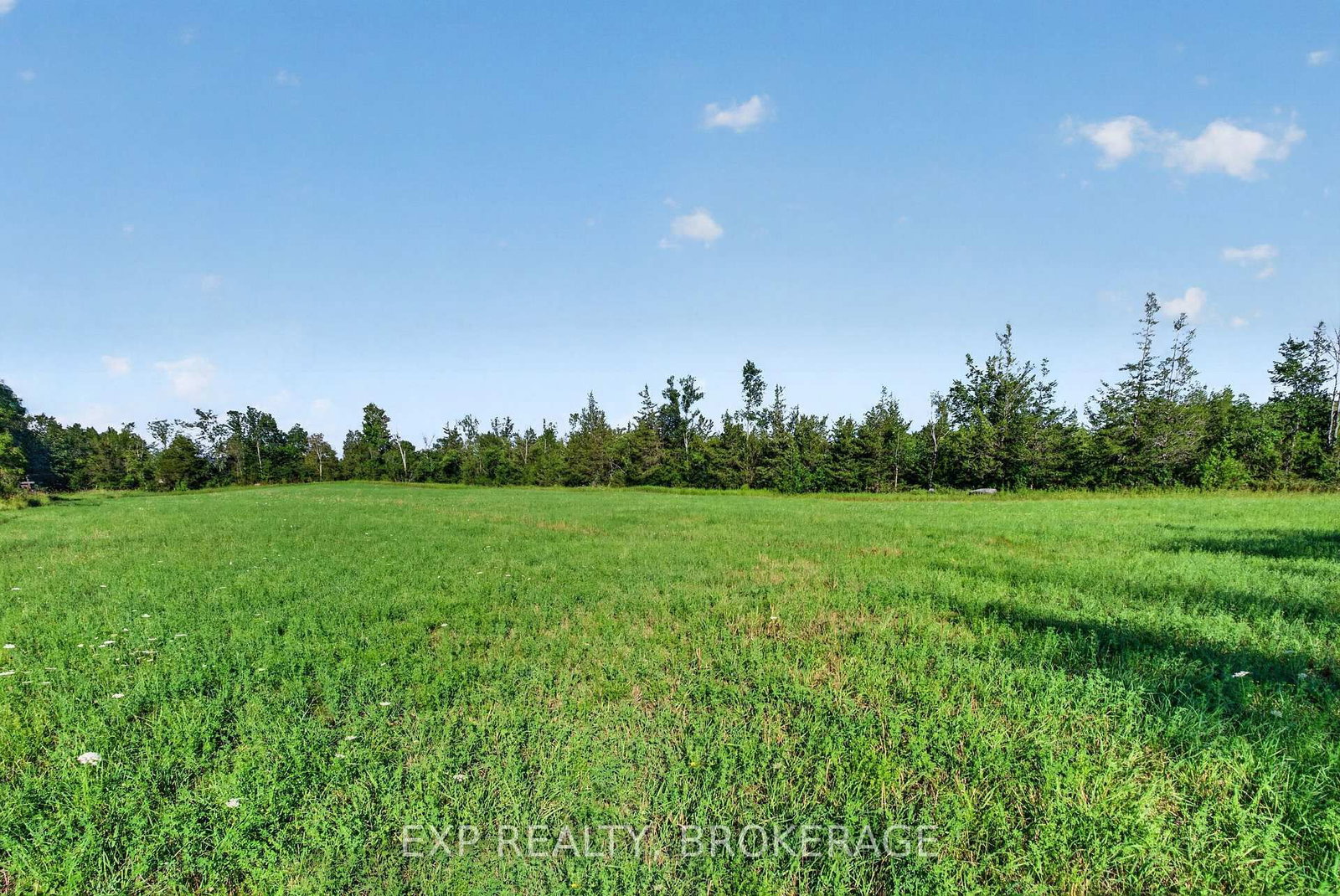 PT LT 3 CON 10 DAFOE Street • Greater Napanee, ON photo 19