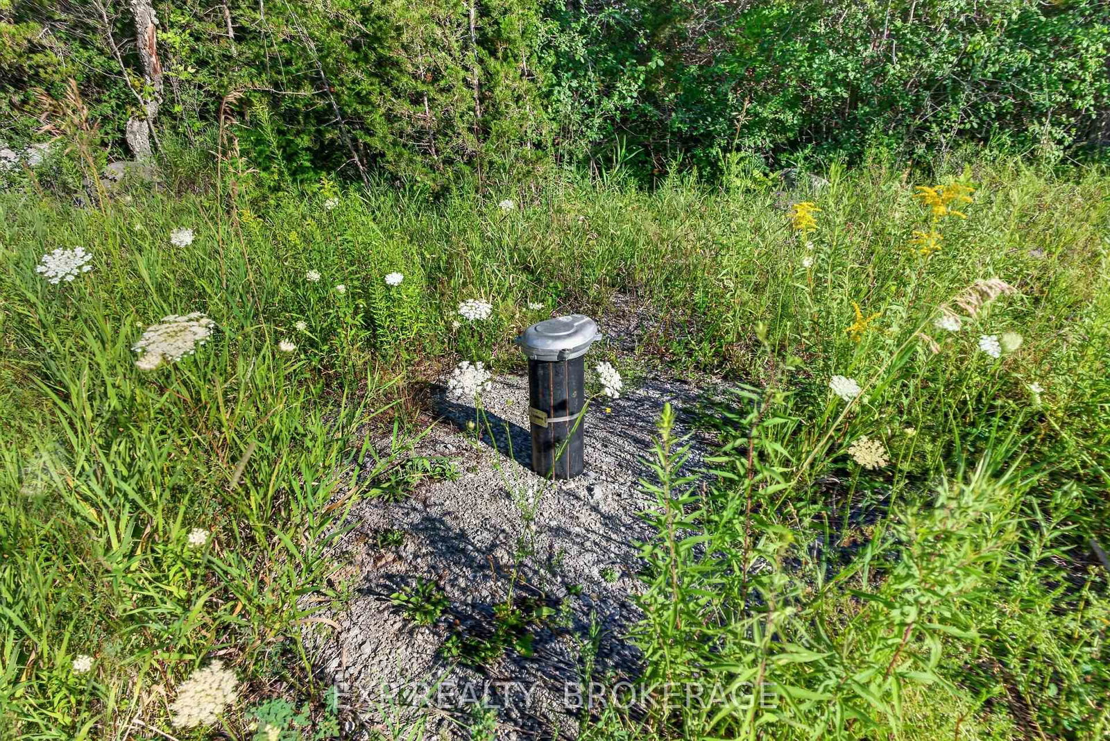 PT LT 3 CON 10 DAFOE Street • Greater Napanee, ON photo 23