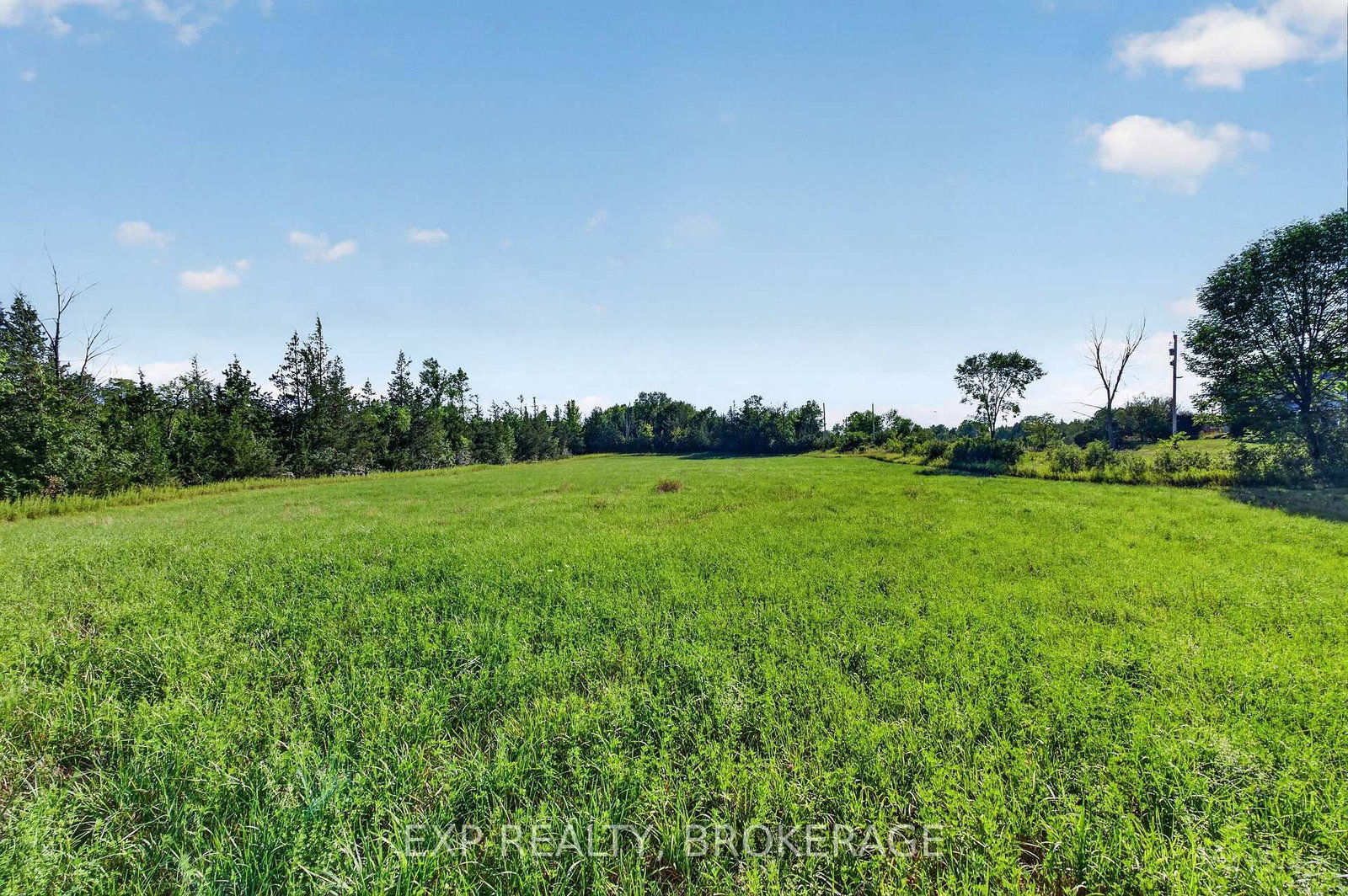 PT LT 3 CON 10 DAFOE Street • Greater Napanee, ON photo 26