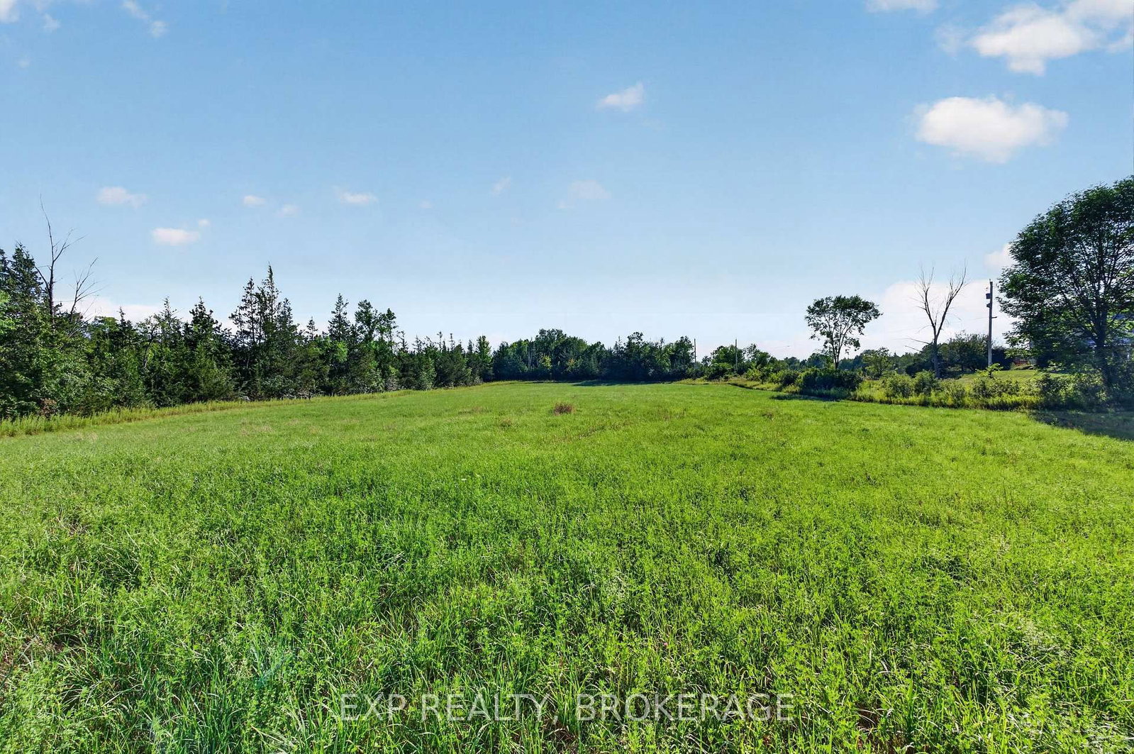 PT LT 3 CON 10 DAFOE Street • Greater Napanee, ON photo 27