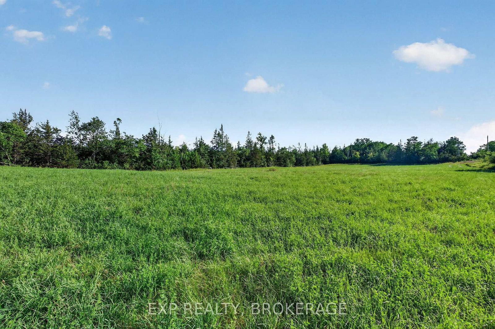PT LT 3 CON 10 DAFOE Street • Greater Napanee, ON photo 28