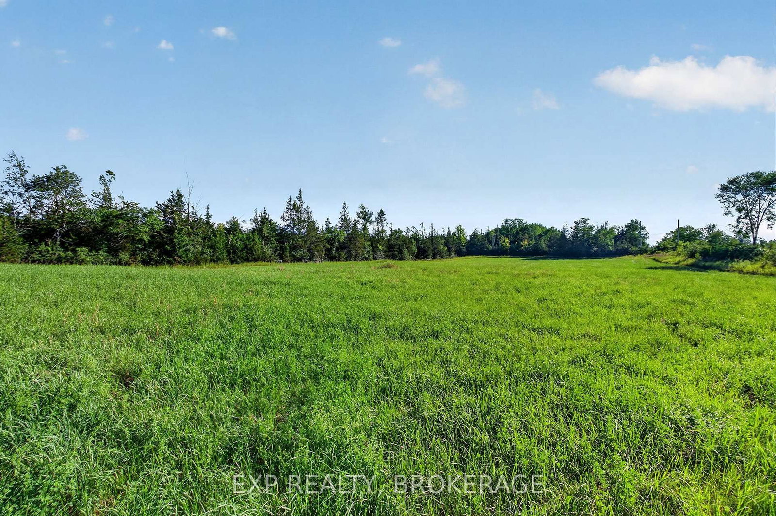 PT LT 3 CON 10 DAFOE Street • Greater Napanee, ON photo 29