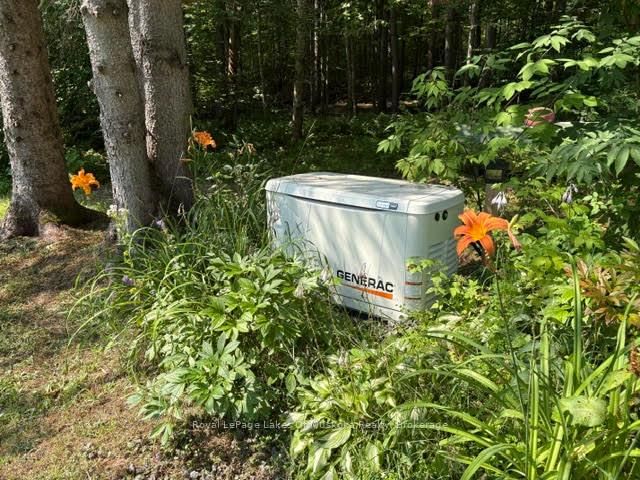 2551 Yearley Road • Huntsville, ON photo 5