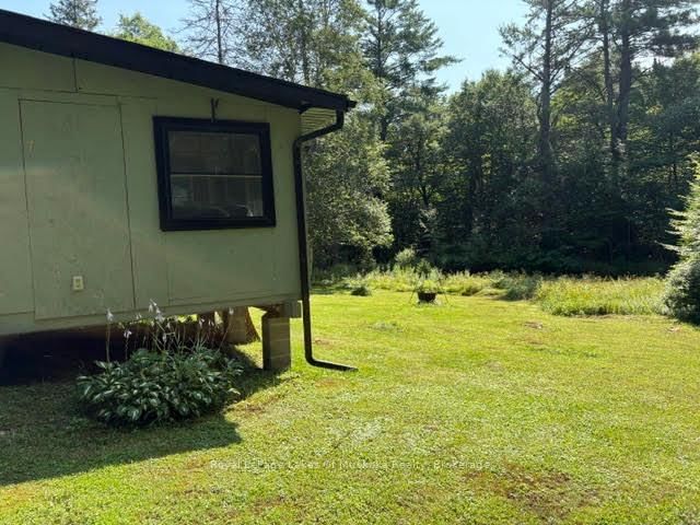 2551 Yearley Road • Huntsville, ON photo 6