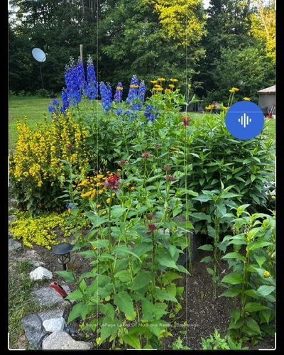 2551 Yearley Road • Huntsville, ON photo 9