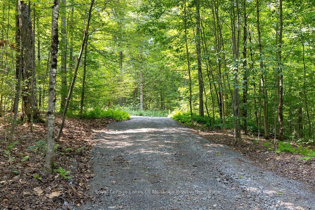 101 Gryffin Bluffs Lane • #Lot #15 • Huntsville, ON photo 13