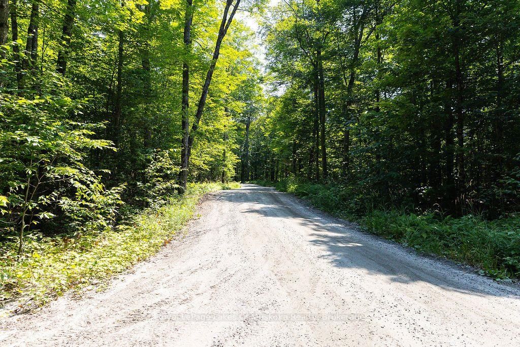 101 Gryffin Bluffs Lane • #Lot #15 • Huntsville, ON photo 14