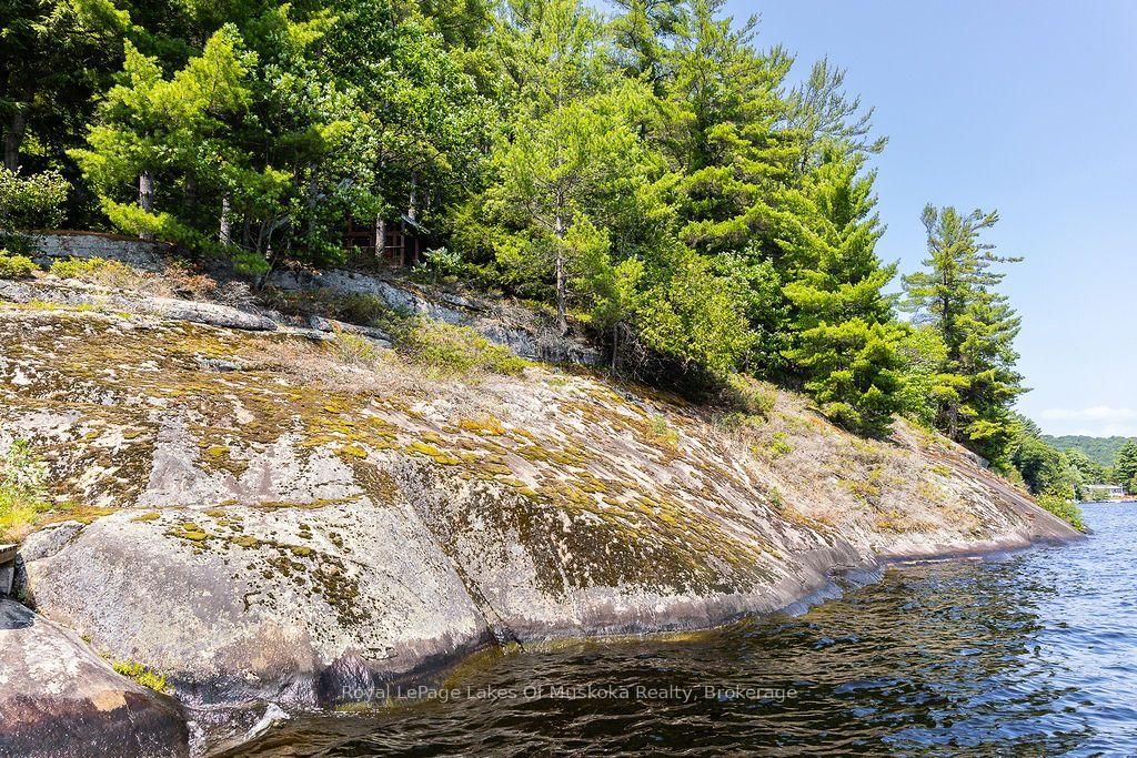 101 Gryffin Bluffs Lane • #Lot #15 • Huntsville, ON photo 23