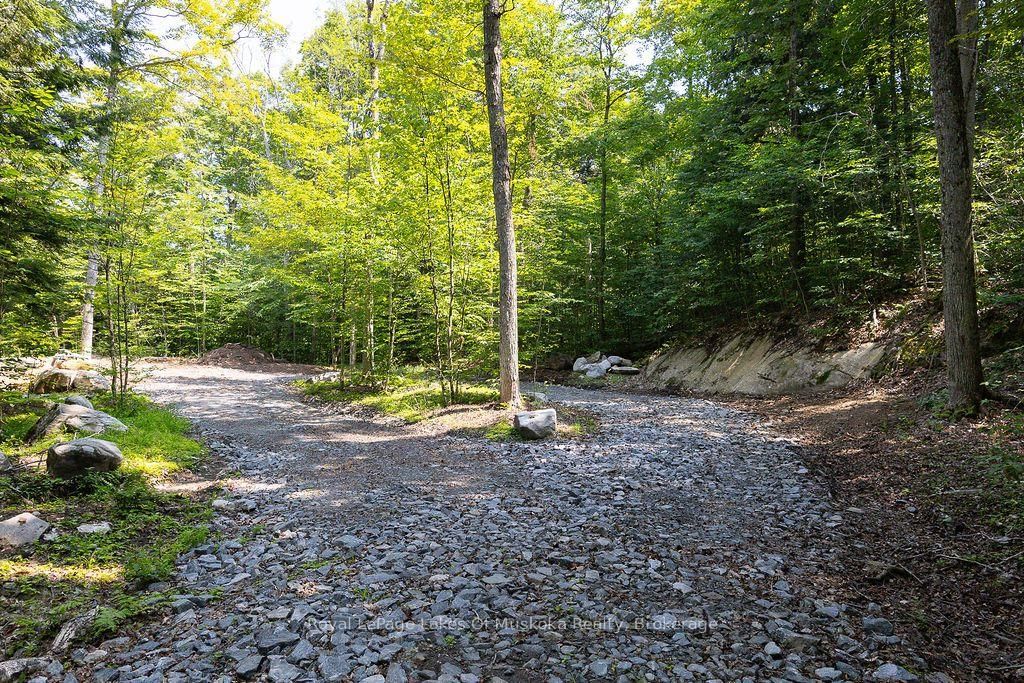 101 Gryffin Bluffs Lane • #Lot #15 • Huntsville, ON photo 6