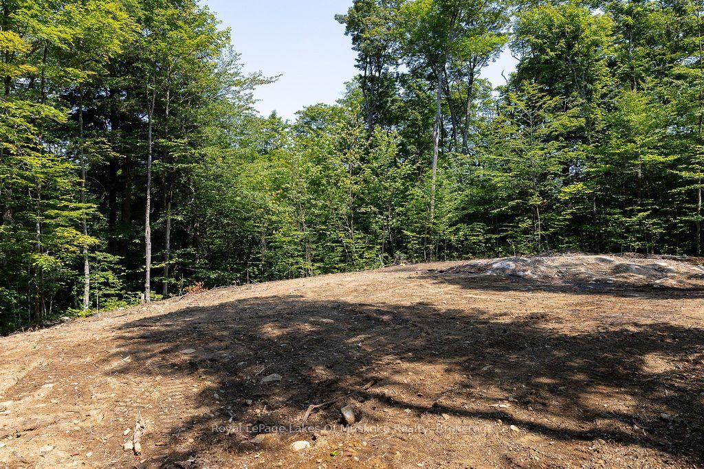 101 Gryffin Bluffs Lane • #Lot #15 • Huntsville, ON photo 9