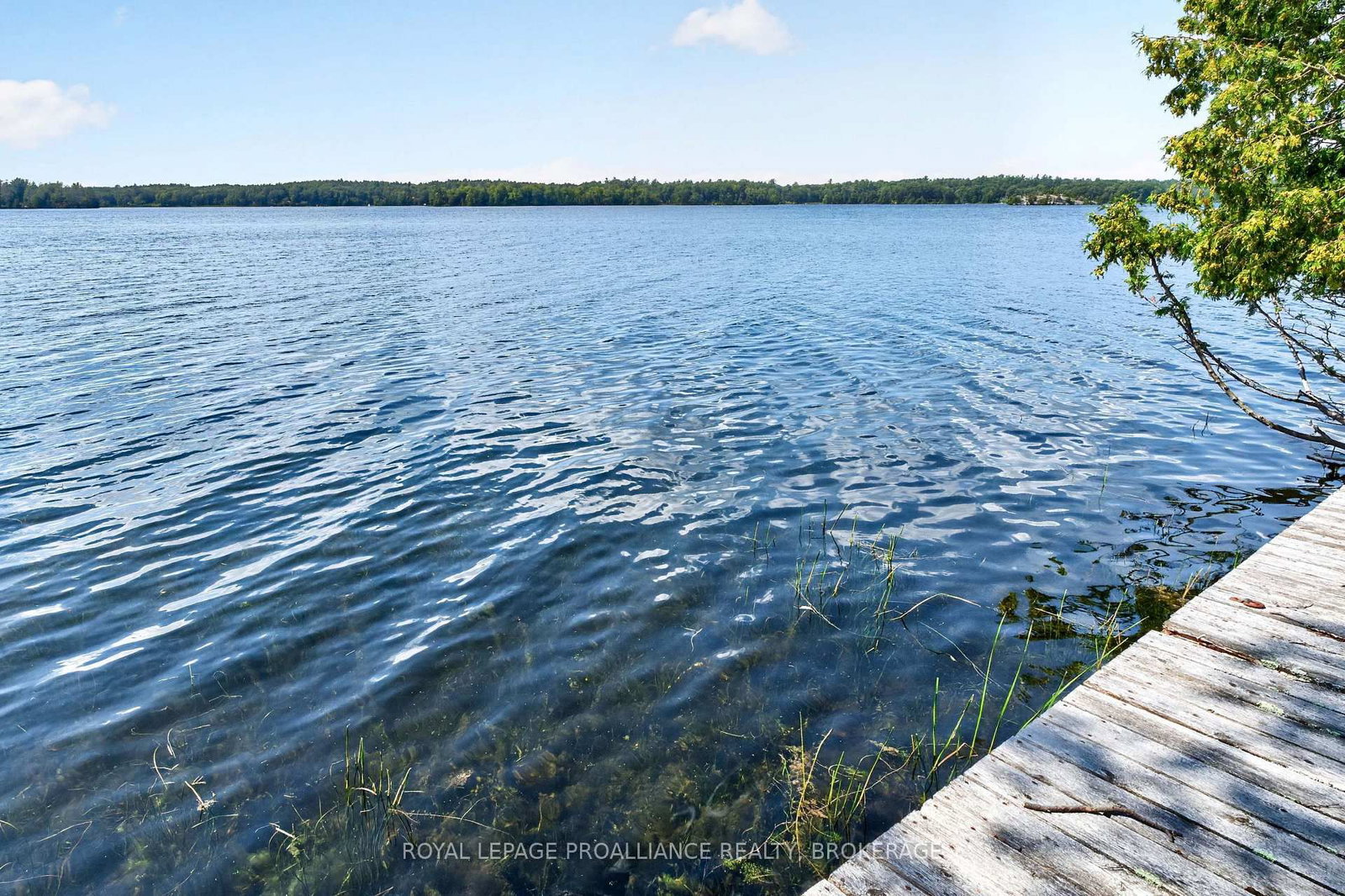 37 Barrel Point Road • Rideau Lakes, ON photo 48