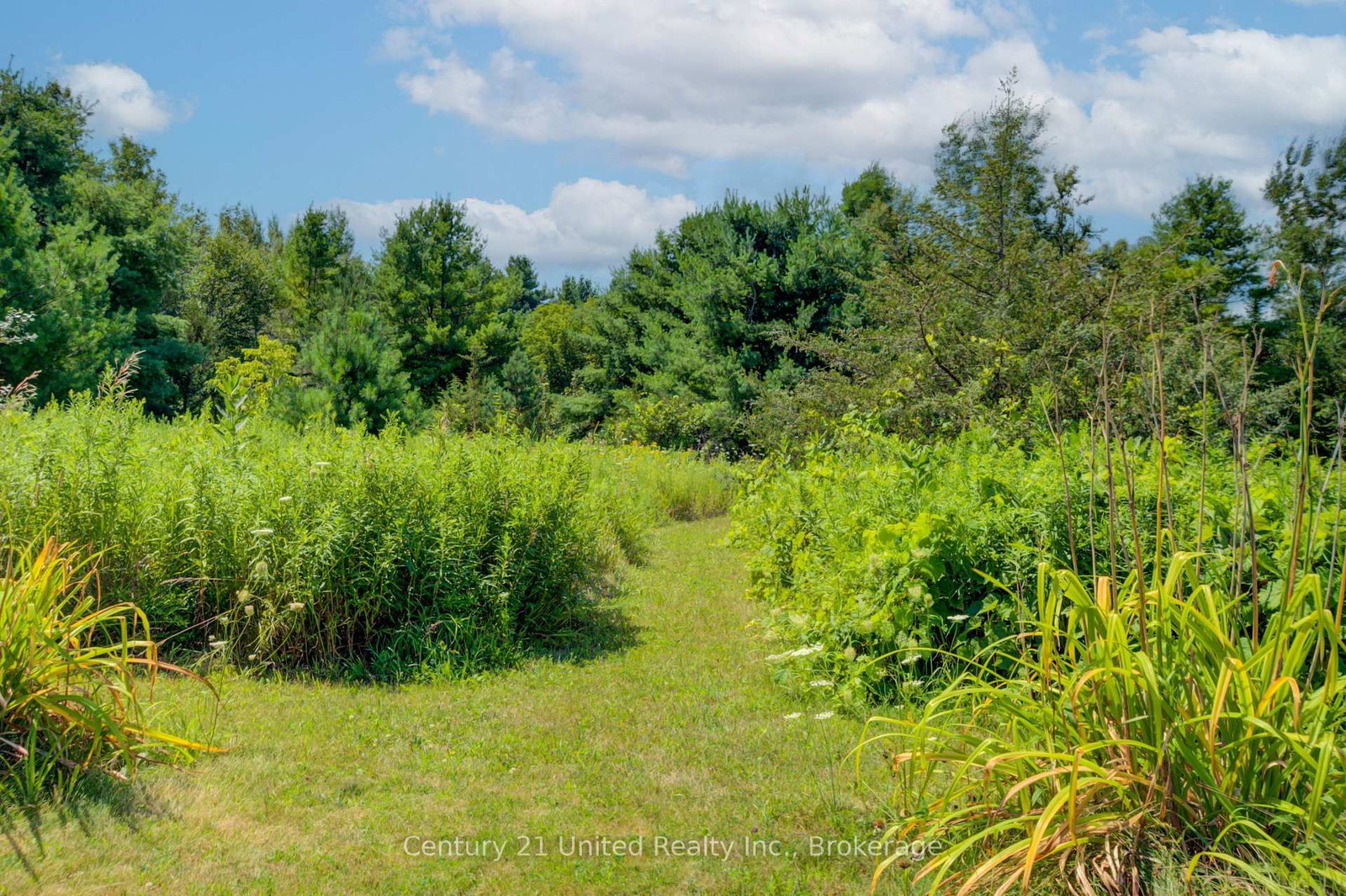 5046 County Road 25 • Trent Hills, ON photo 38