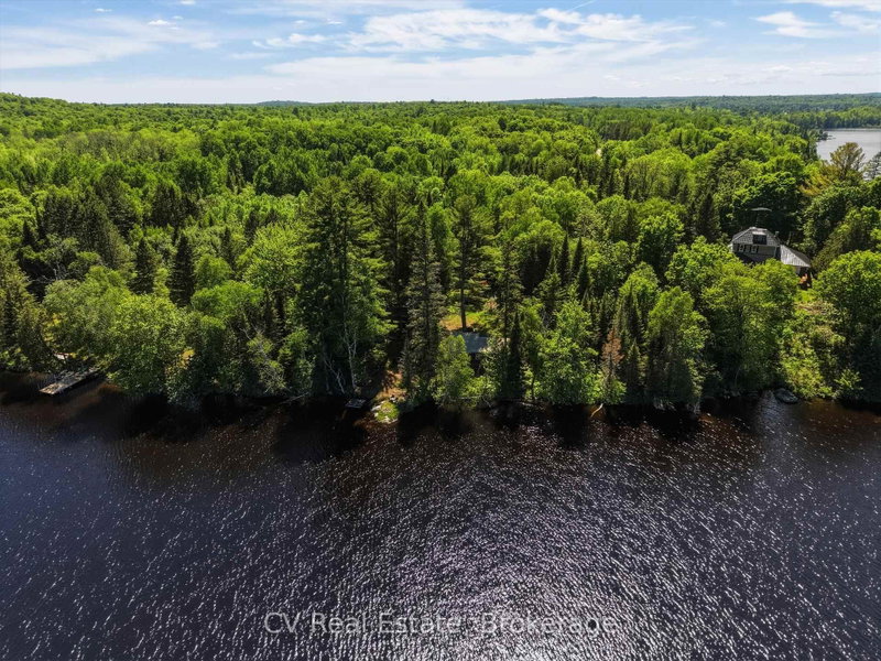 109 Black Bear Road