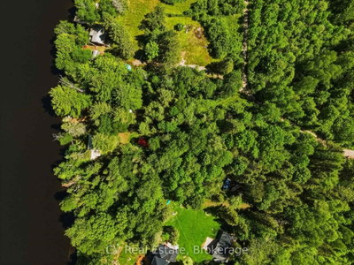 109 Black Bear Road • Magnetawan, ON photo 8