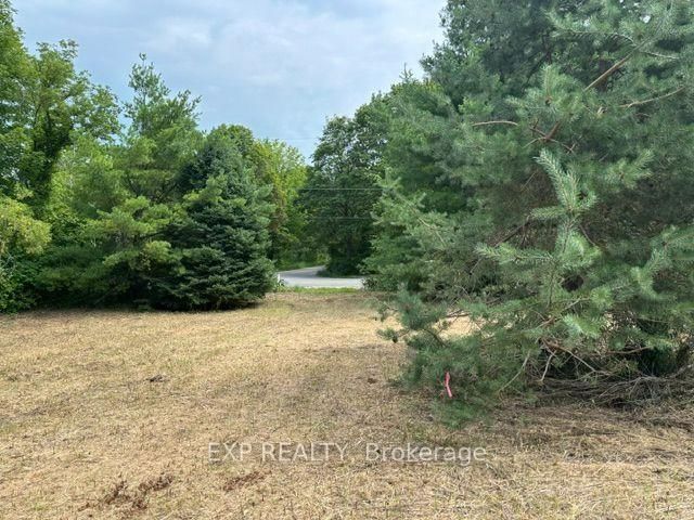 Lot 5 & 6 RP 18 Noonan Road • Alnwick/Haldimand, ON photo 11