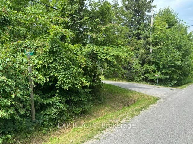 Lot 5 & 6 RP 18 Noonan Road • Alnwick/Haldimand, ON photo 12