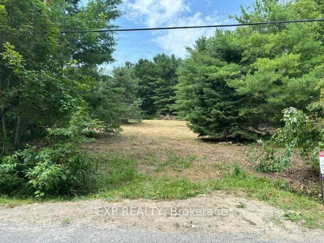 Lot 5 & 6 RP 18 Noonan Road • Alnwick/Haldimand, ON photo 3