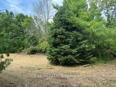 Lot 5 & 6 RP 18 Noonan Road • Alnwick/Haldimand, ON photo 4