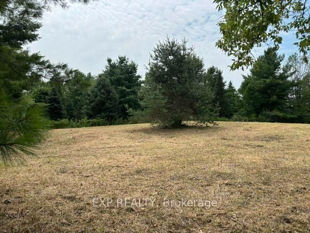 Lot 5 & 6 RP 18 Noonan Road • Alnwick/Haldimand, ON photo 5