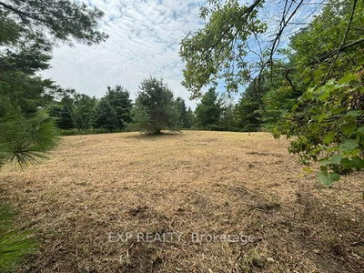 Lot 5 & 6 RP 18 Noonan Road • Alnwick/Haldimand, ON photo 6