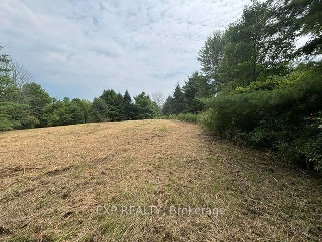 Lot 5 & 6 RP 18 Noonan Road • Alnwick/Haldimand, ON photo 8