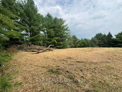 Lot 5 & 6 RP 18 Noonan Road • Alnwick/Haldimand, ON photo 9