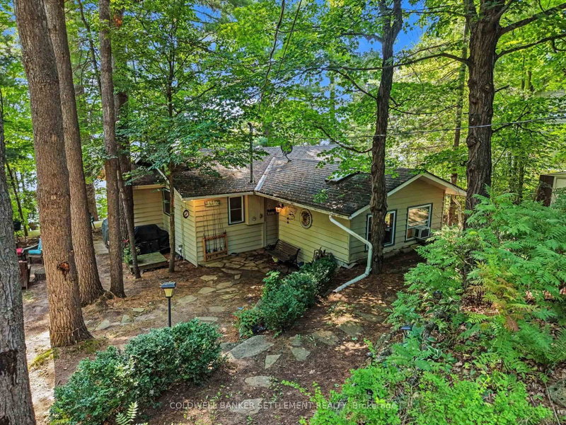 599 Black Lake Road