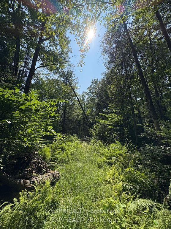 1 Lot 1 Concession 2 Part 4 Boundary Concession • Alfred and Plantagenet, ON photo 10