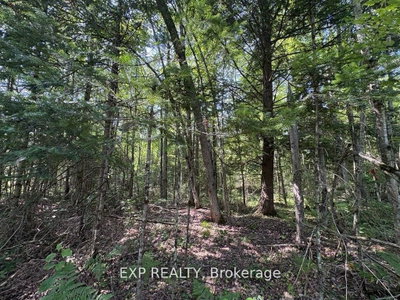 1 Lot 1 Concession 2 Part 4 Boundary Concession • Alfred and Plantagenet, ON photo 3