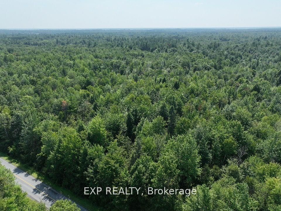 1 Lot 1 Concession 2 Part 4 Boundary Concession • Alfred and Plantagenet, ON photo 6