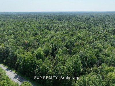 1 Lot 1 Concession 2 Part 4 Boundary Concession • Alfred and Plantagenet, ON photo 6