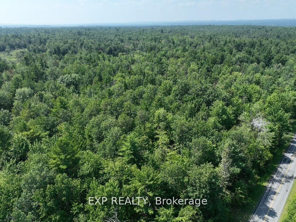 1 Lot 1 Concession 2 Part 4 Boundary Concession • Alfred and Plantagenet, ON photo 7