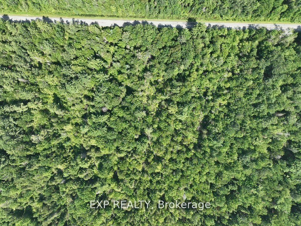 1 Lot 1 Concession 2 Part 4 Boundary Concession • Alfred and Plantagenet, ON photo 9
