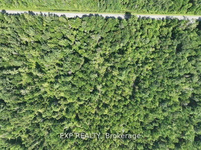 1 Lot 1 Concession 2 Part 4 Boundary Concession • Alfred and Plantagenet, ON photo 9