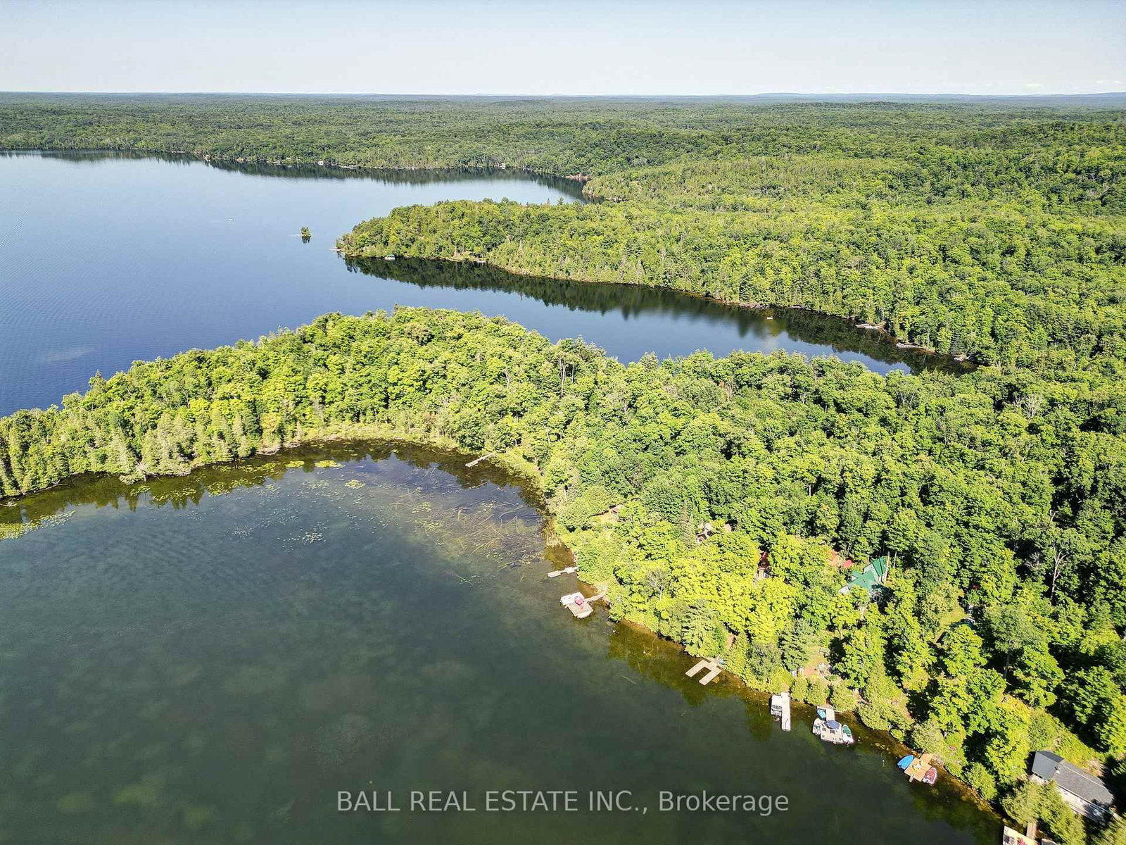 351 Limerick Lake Shore N • Hastings, ON photo 40