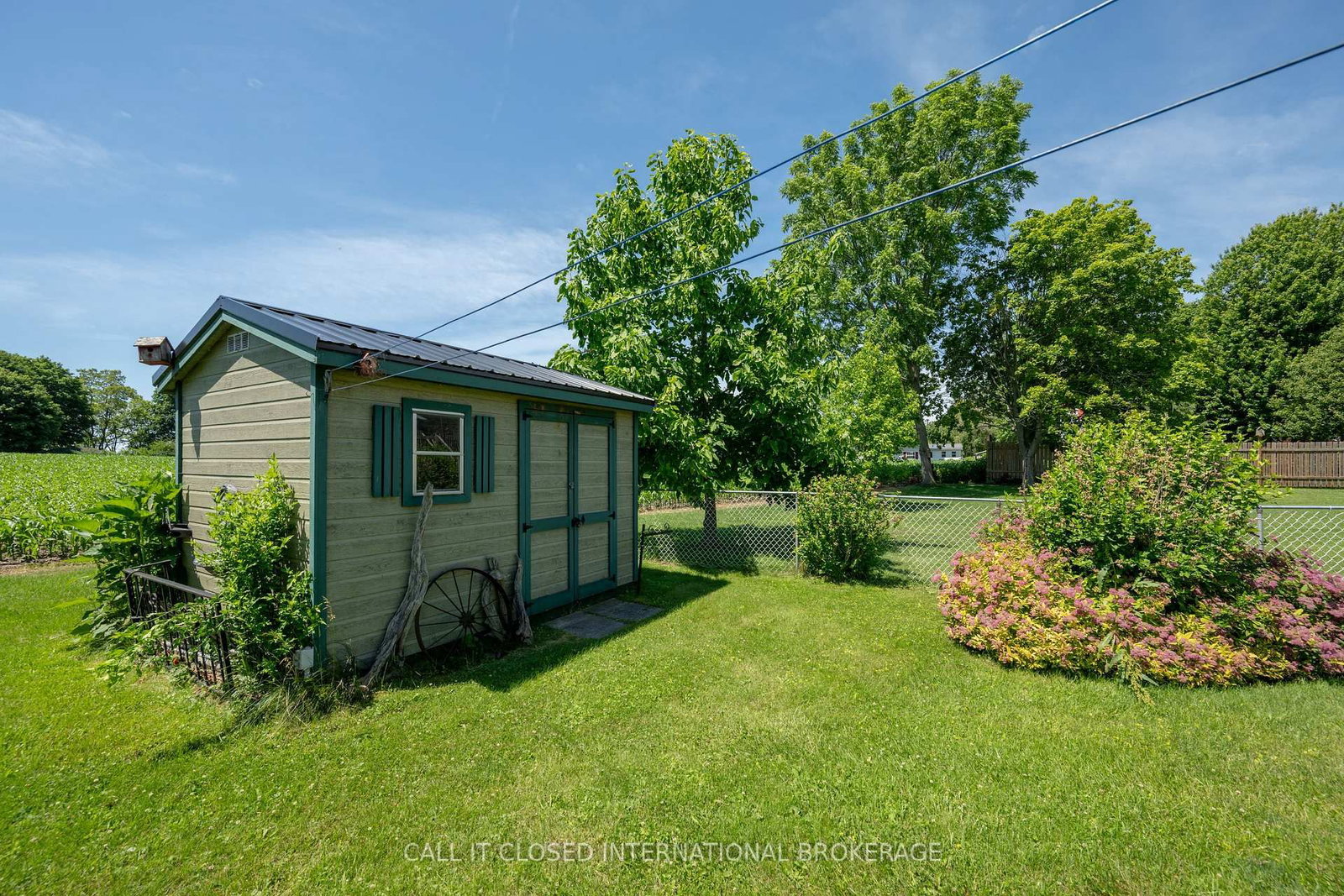 54 Wellington Street • Bayham, ON photo 37