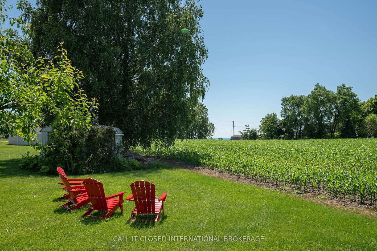 54 Wellington Street • Bayham, ON photo 38