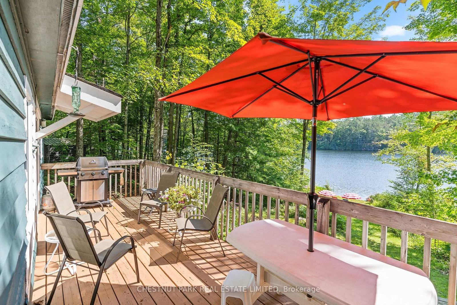 1184 Little Bob Lake Road • Minden Hills, ON photo 23