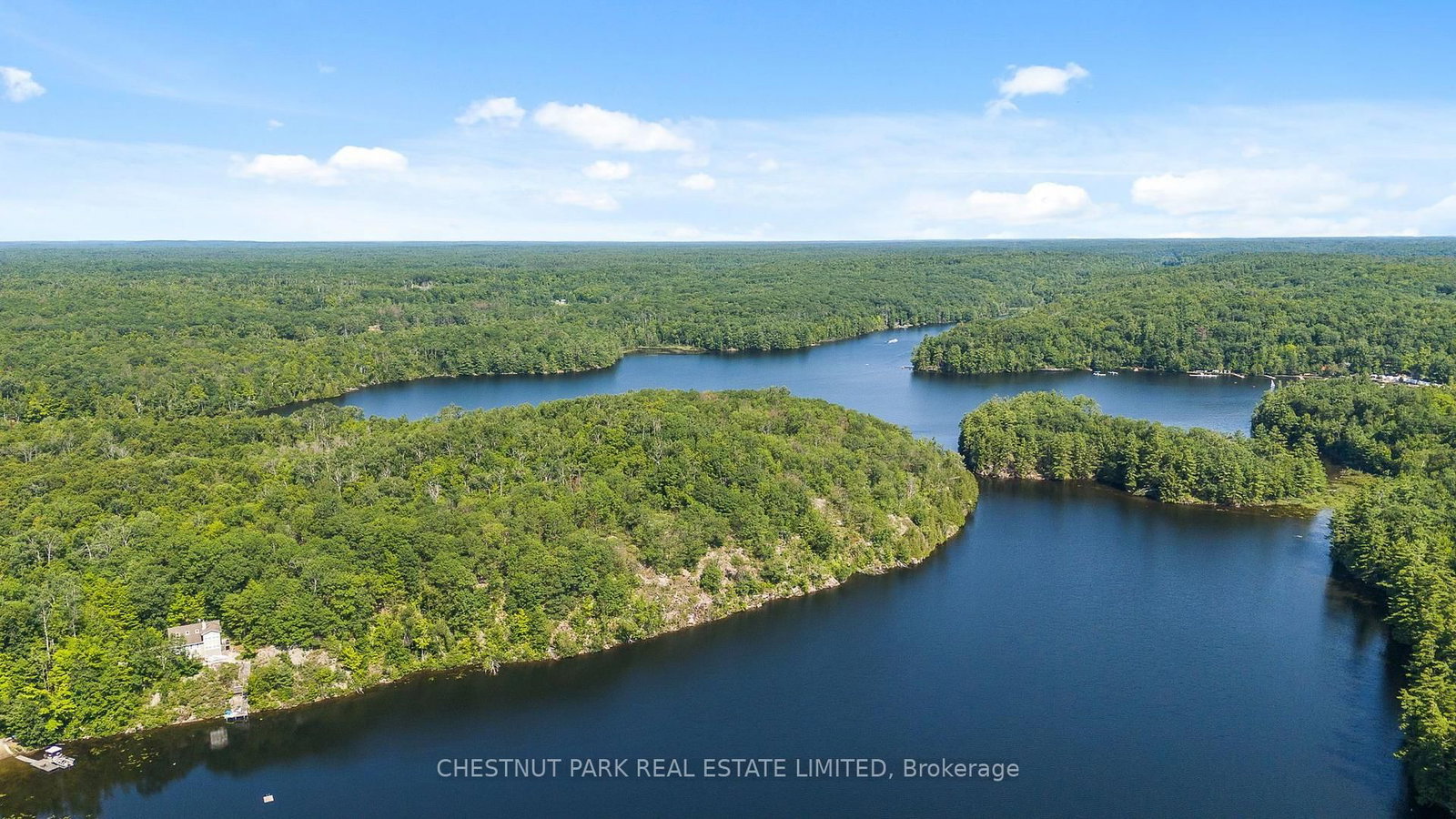 1184 Little Bob Lake Road • Minden Hills, ON photo 35