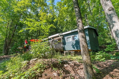 1184 Little Bob Lake Road • Minden Hills, ON photo 5