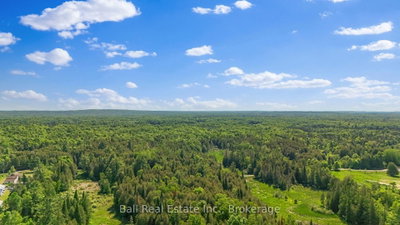 18261 Highway 62 Highway • Madoc, ON photo 4