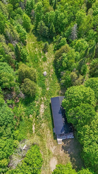 18261 Highway 62 Highway • Madoc, ON photo 5