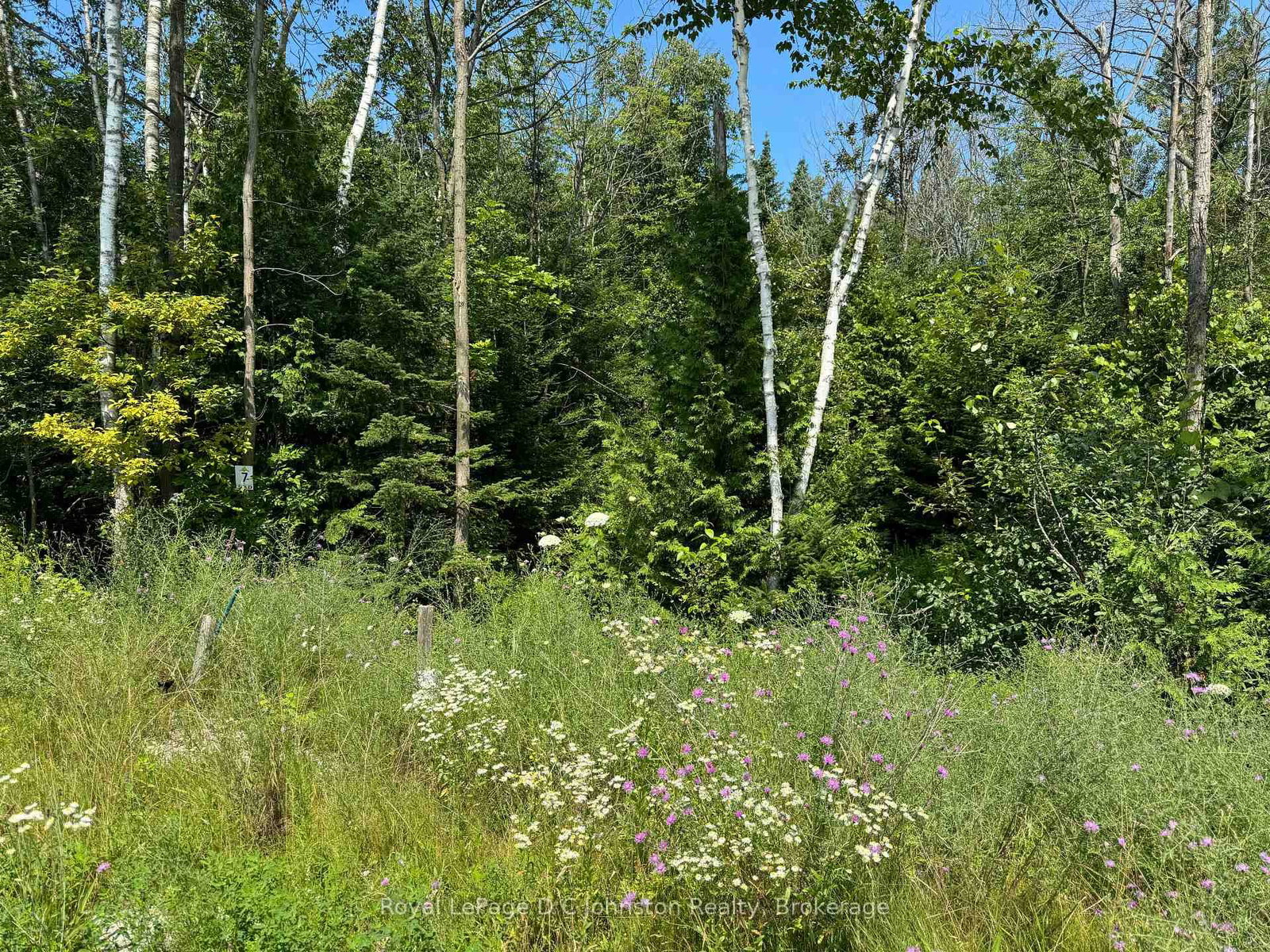 13 Lakeside Woods Crescent • Saugeen Shores, ON photo 2