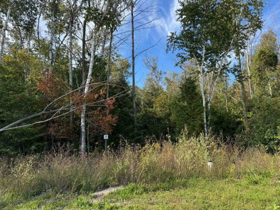 13 Lakeside Woods Crescent • Saugeen Shores, ON photo 4
