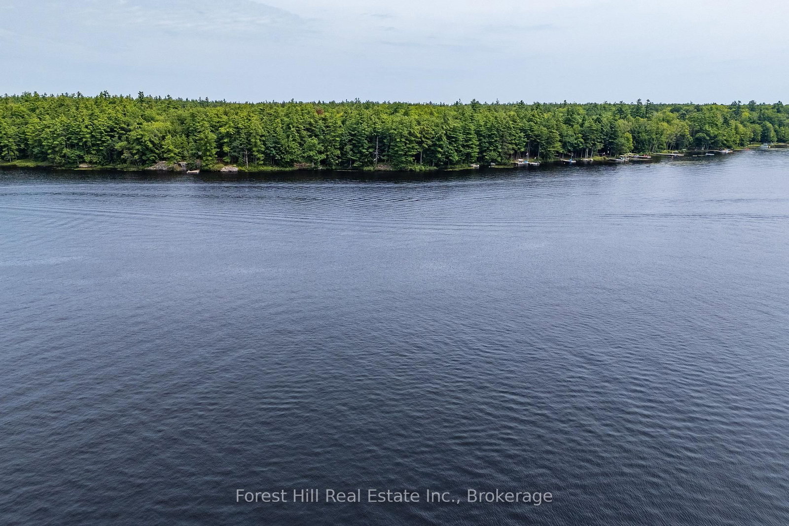 1048 West Black Lake Road • Muskoka Lakes, ON photo 4