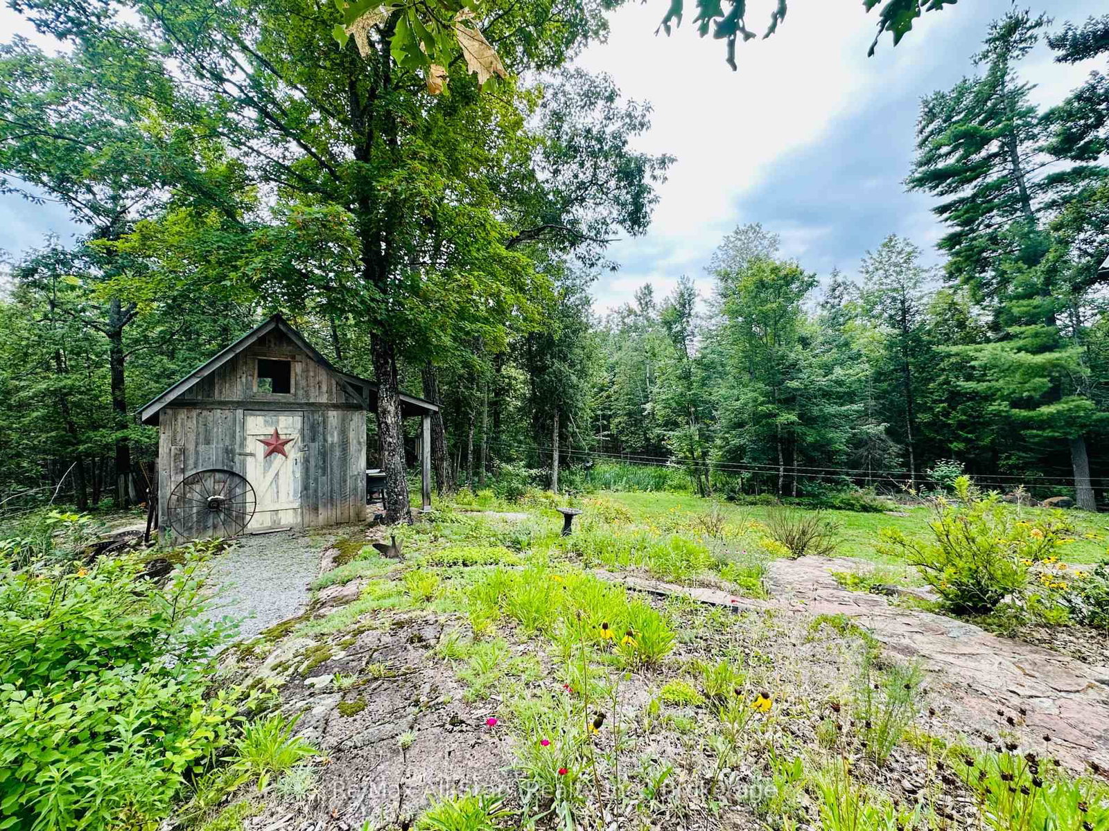 7140 Highway 28 • North Kawartha, ON photo 24
